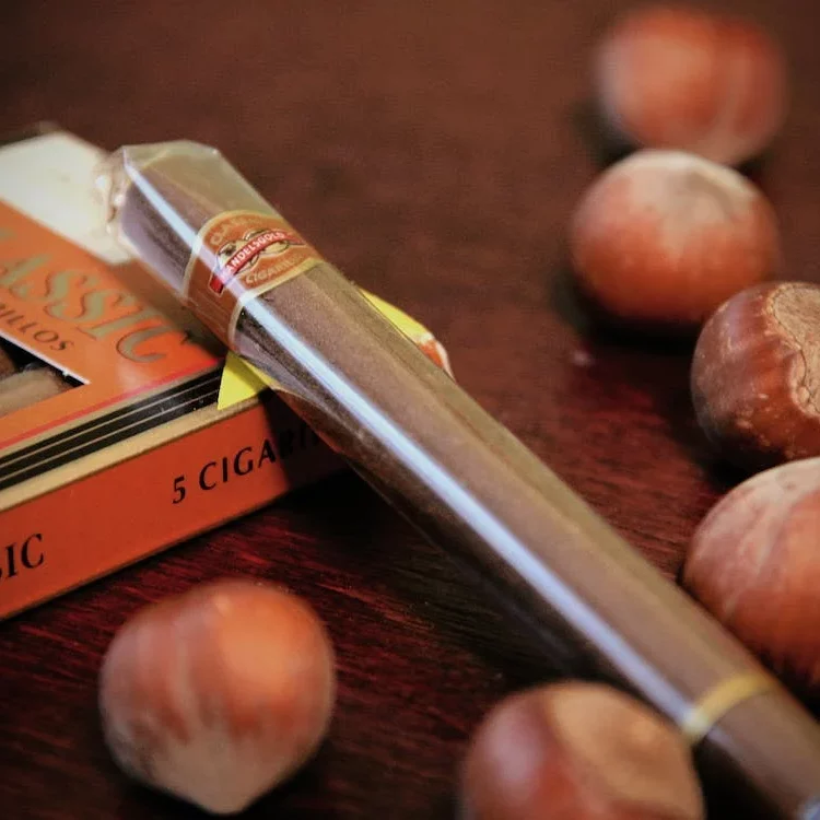 autumn-cigarettes-hazelnuts-smoking autumn-cigarettes-hazelnuts-smoking